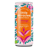 Zitronengras, Orange, Ginseng, kohlensäurehaltiges Getränk BIO 250 ml - KLEINE WUNDER